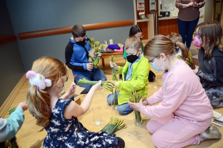 Daffodil days return News, Sports, Jobs Altoona Mirror